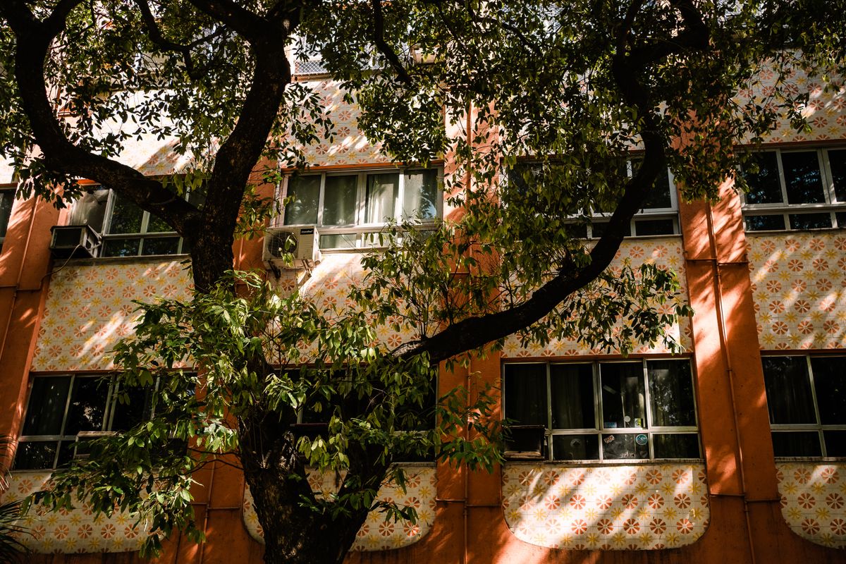 student moves in Gerrans — Student Moves in Gerrans — the working end of the job