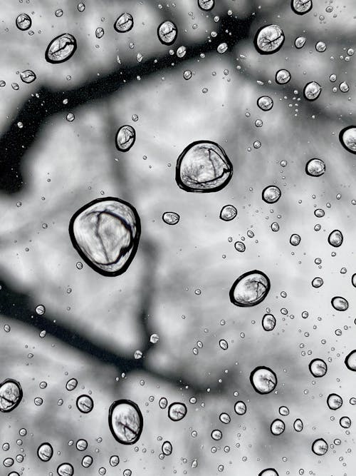 Free Droplets of Water on Black Glass Panel  Stock Photo