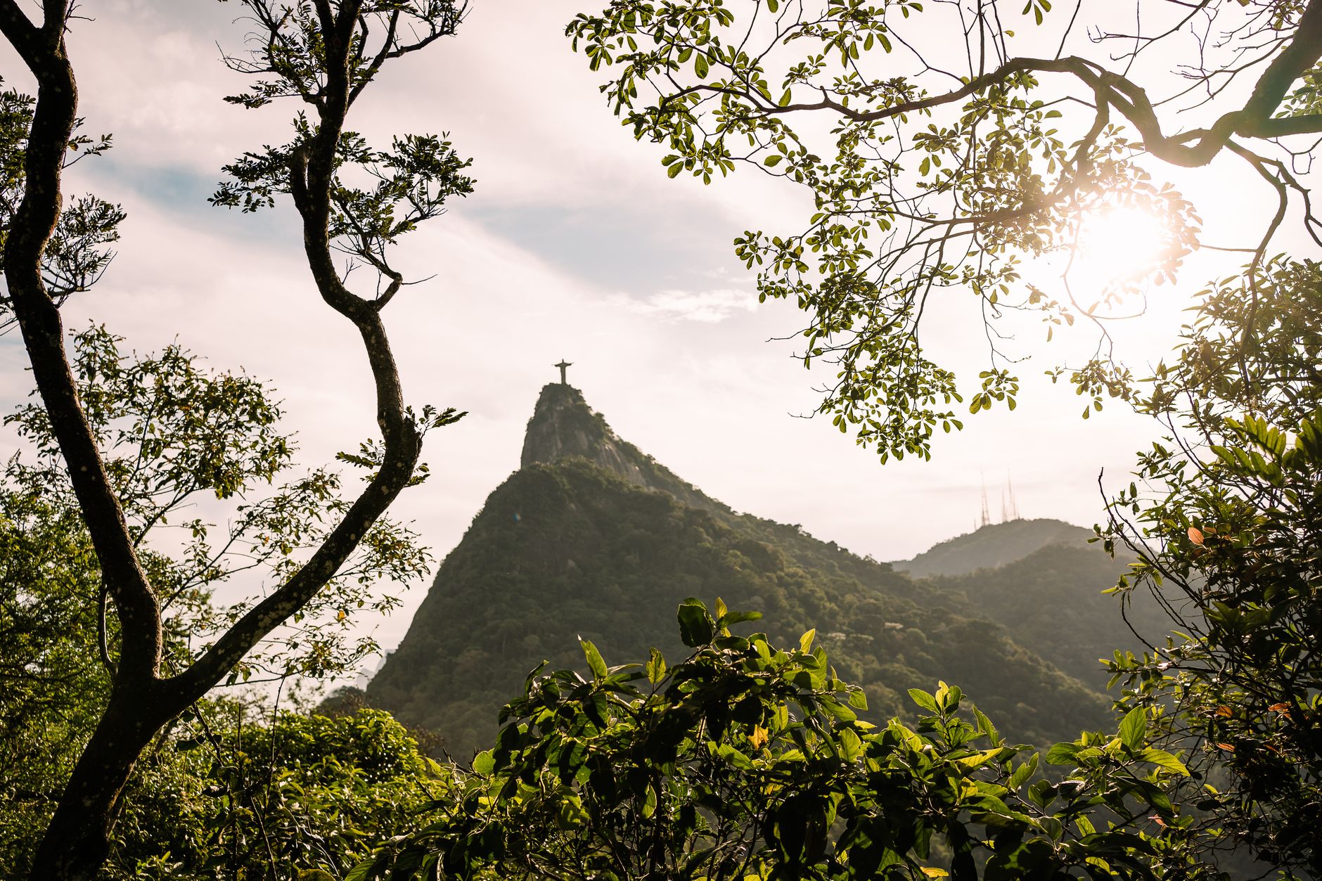 Scenic view of Christ the Redeemer statue framed by trees in Rio de Janeiro.