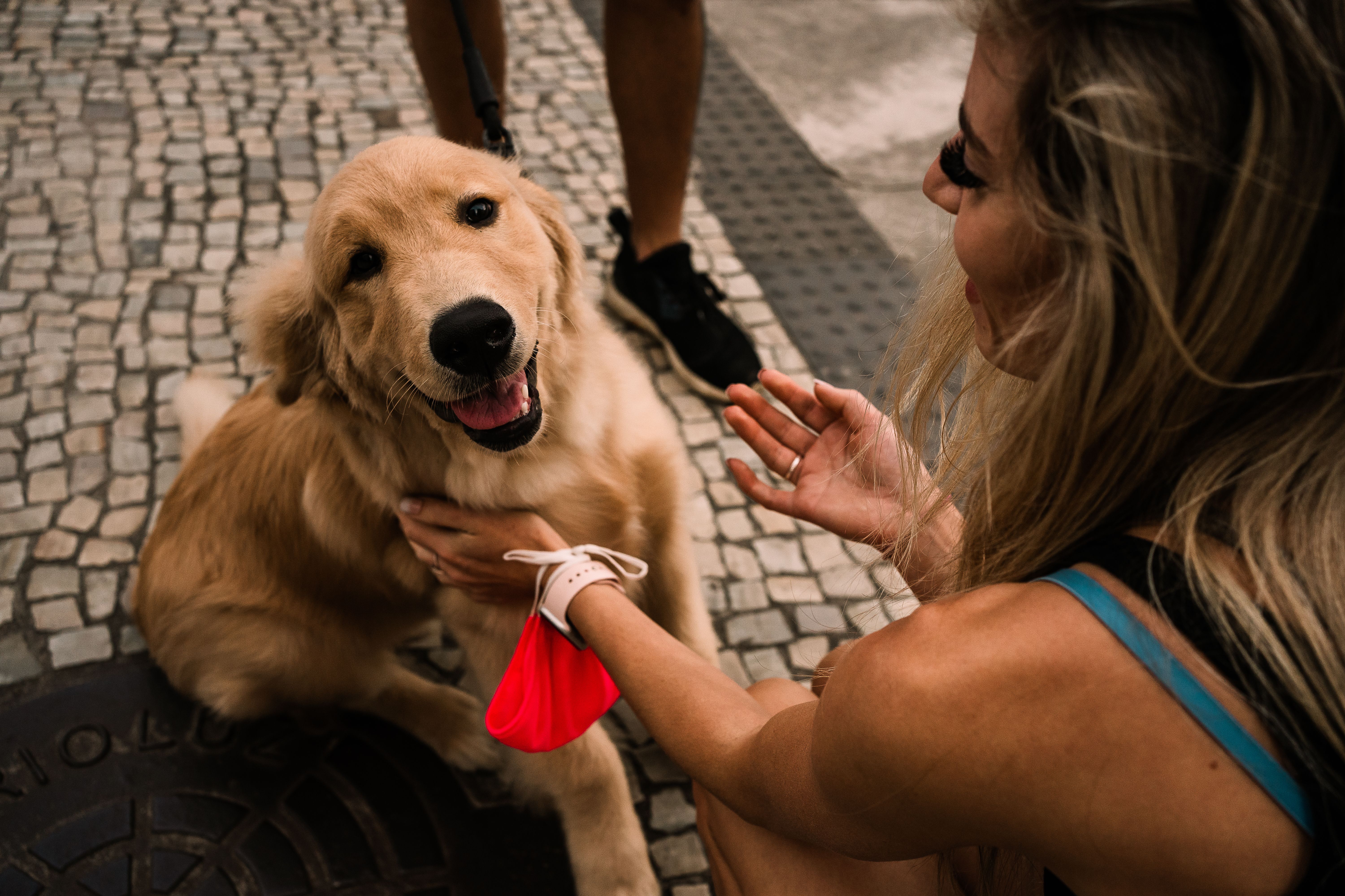 Adote um Amiguinho