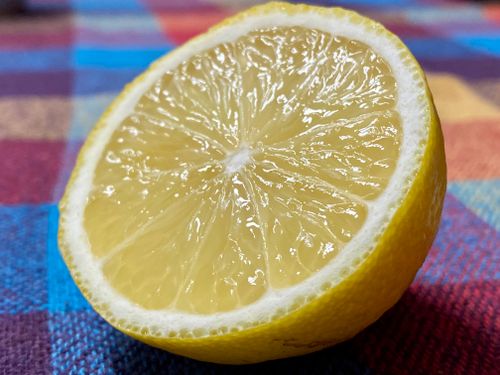 Free stock photo of citrus fruit, citrus fruits, dried fruits Stock Photo