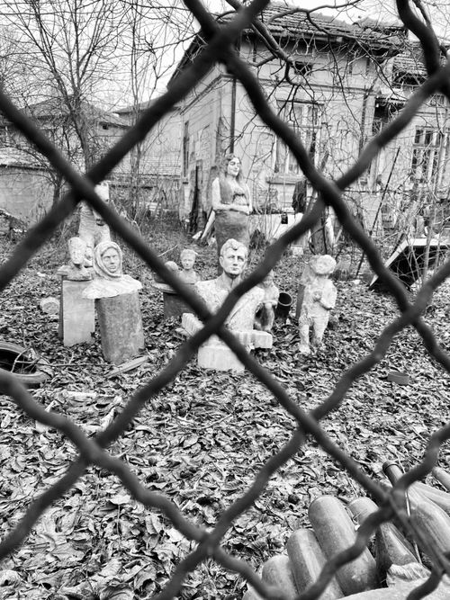 Free stock photo of backyard, creepy, fence Stock Photo