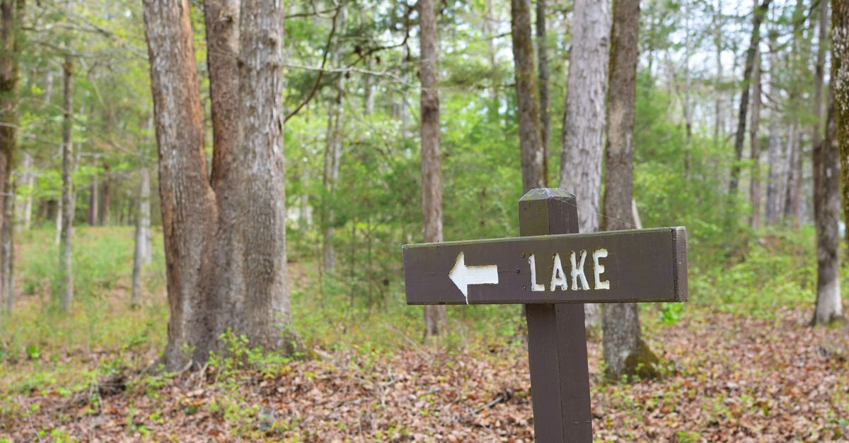 A wooden sign directs hikers towards a lake in a lush, green forest setting.
