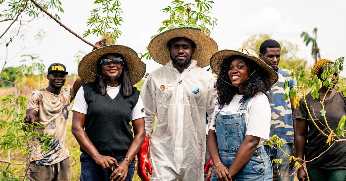 young people in Ho Volta Region planting cassava stems on a farm under the sun