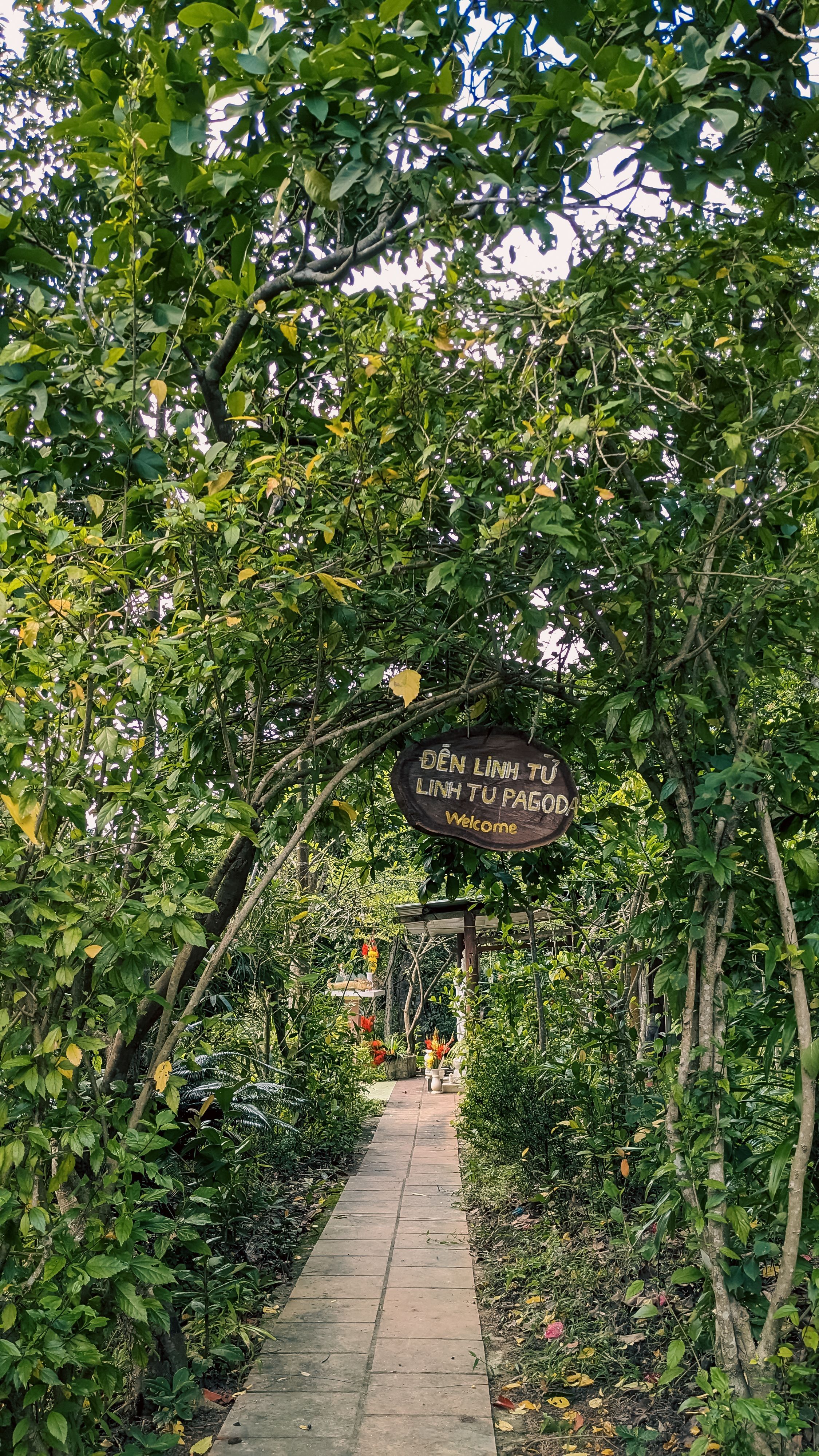 Lush greenery leading to Linh Tu Pagoda in Da Nang, Vietnam.