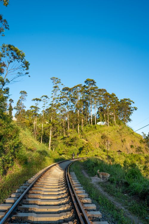 Free Scenic railway track winding through lush hills in Sri Lanka, under a clear blue sky. Stock Photo