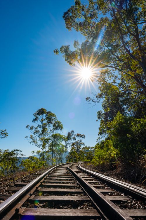 Free Curving railway tracks under bright sunlight in lush Sri Lankan forest. Stock Photo