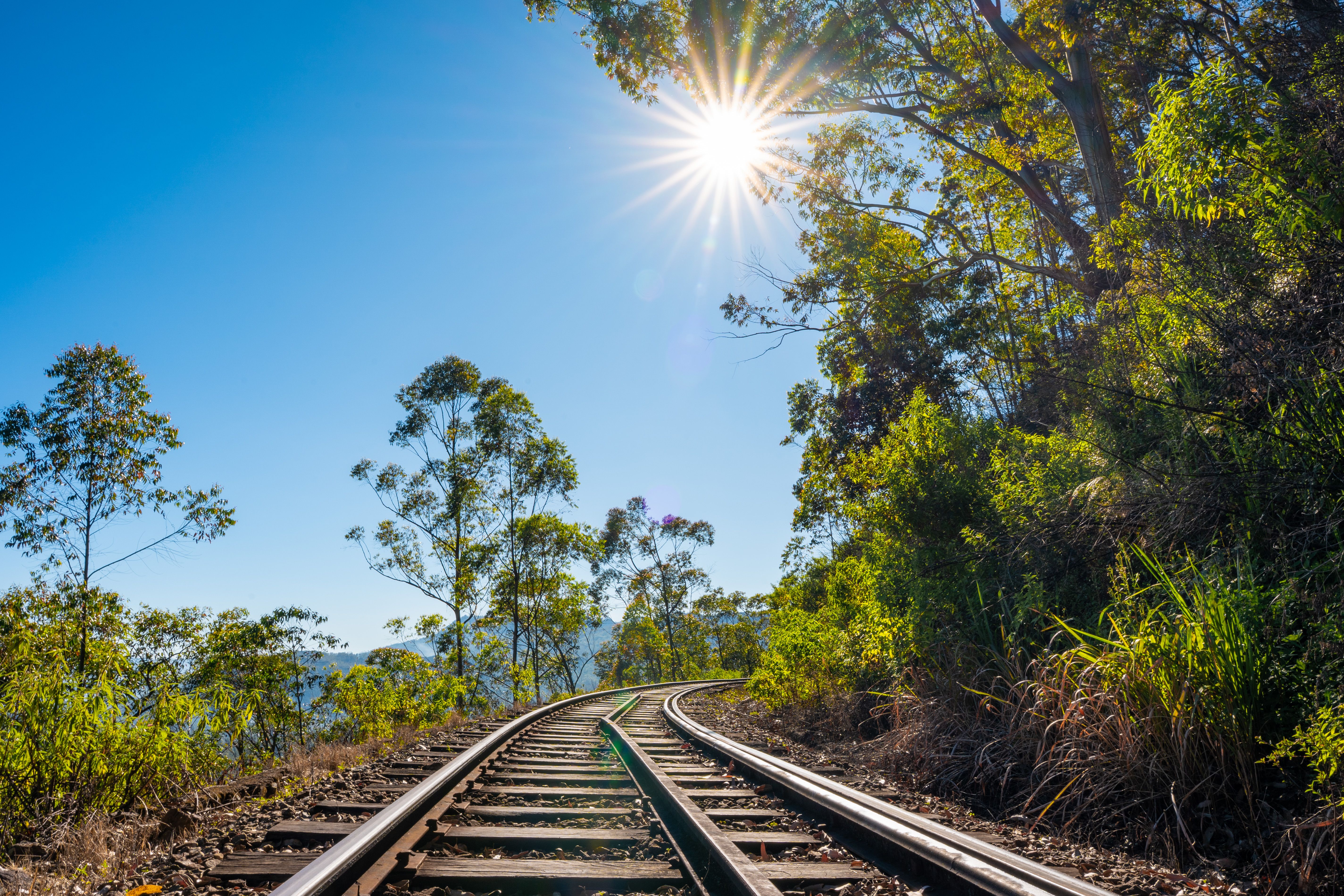 The Surprising Connection Between Ayurveda and Road Travel: How Local Drivers Can Enhance Your Wellness Journey in India and Sri Lanka