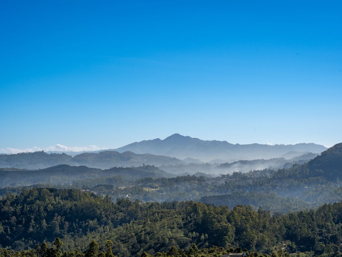 14 Day Detox & Recharge Retreat in Nature, Sri Lanka 1