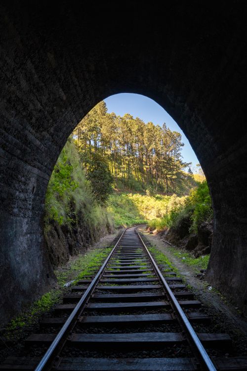 Free Beautiful view of a railway emerging from a forested tunnel in Sri Lanka, surrounded by lush greenery. Stock Photo