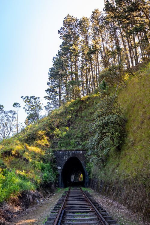 Free Beautiful railway tunnel surrounded by lush greenery in Sri Lanka, perfect for travel and nature enthusiasts. Stock Photo
