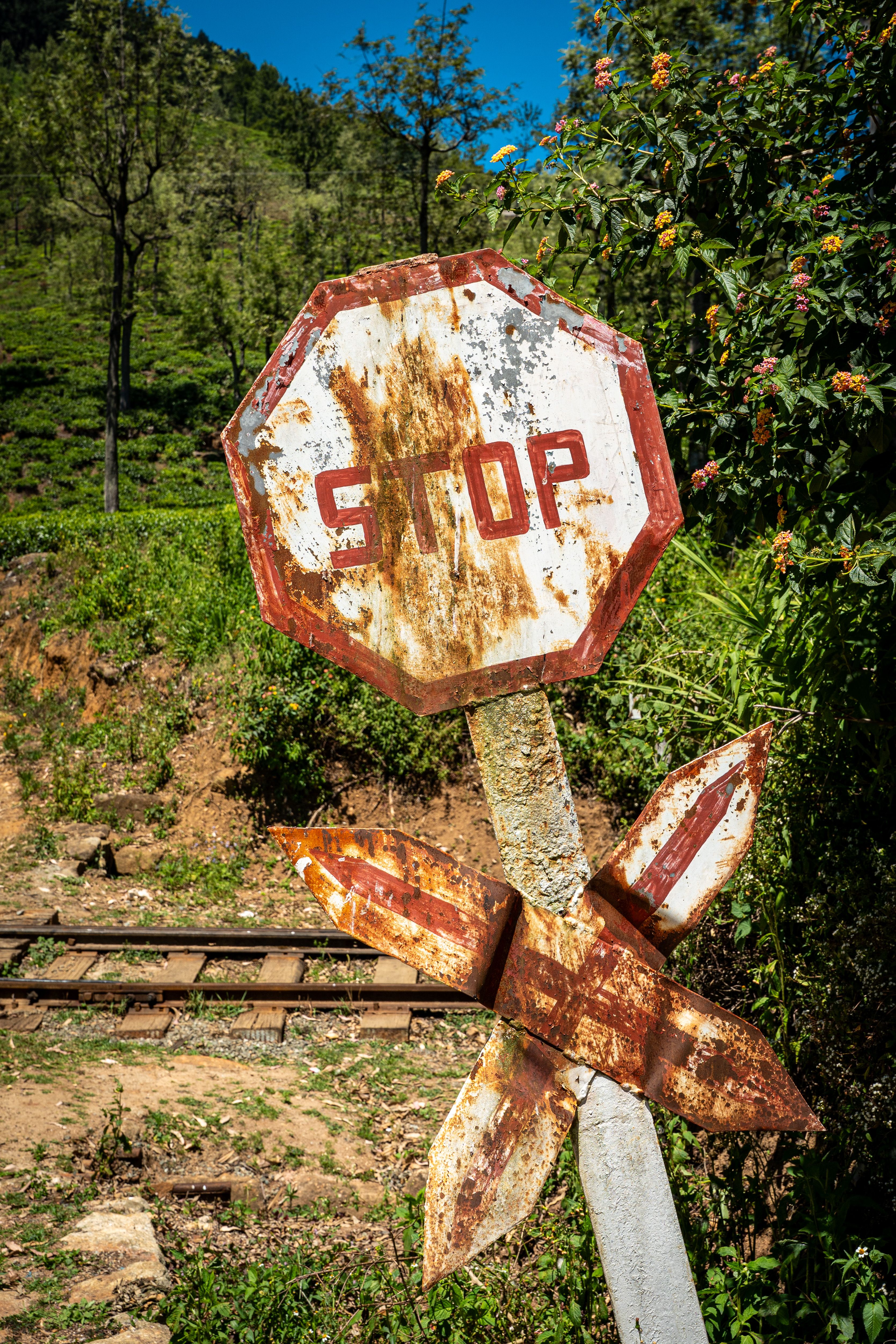 Rustic Stop Sign by Sri Lankan Railway · Free Stock Photo