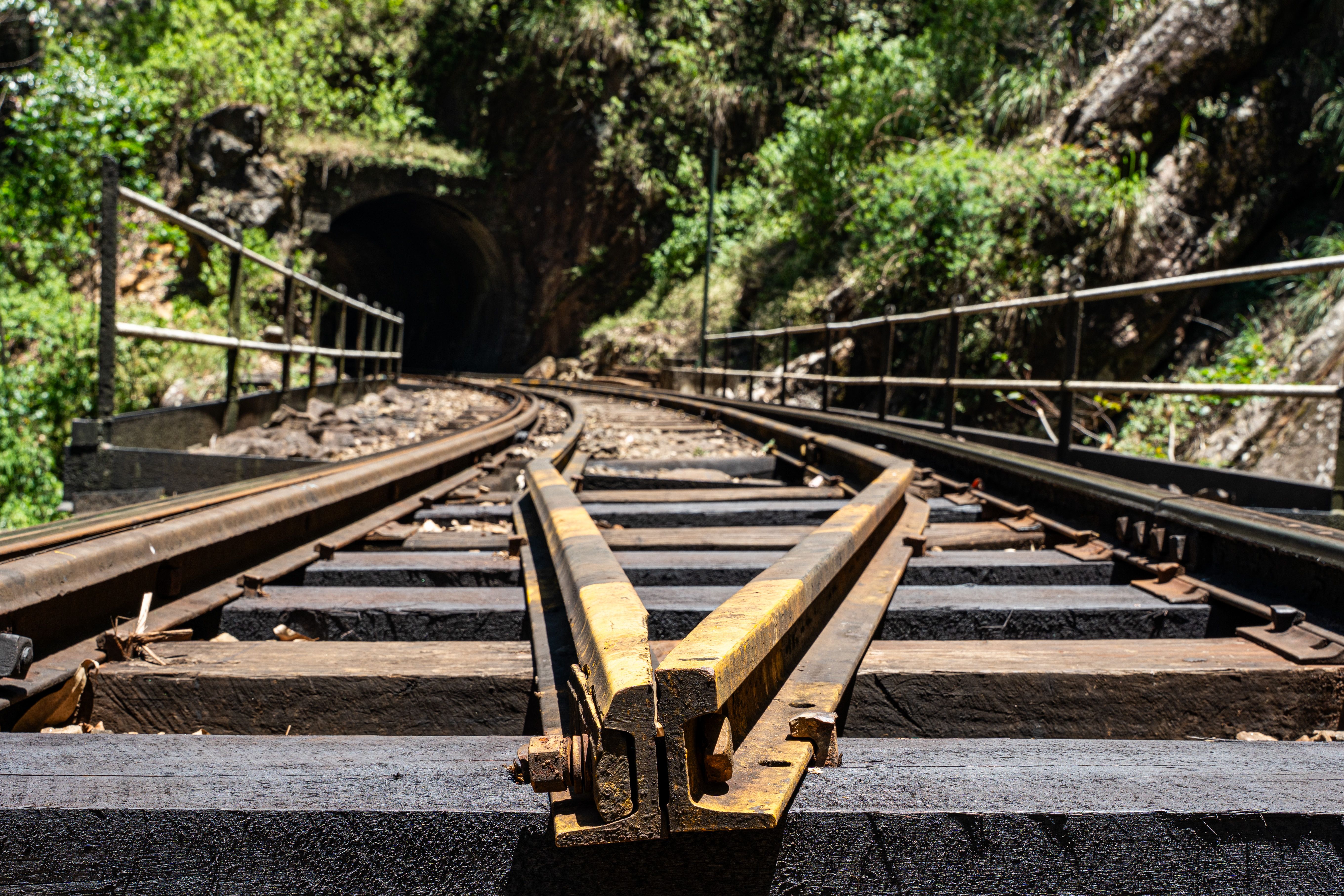 Foto: Thilina Alagiyawanna / Pexels