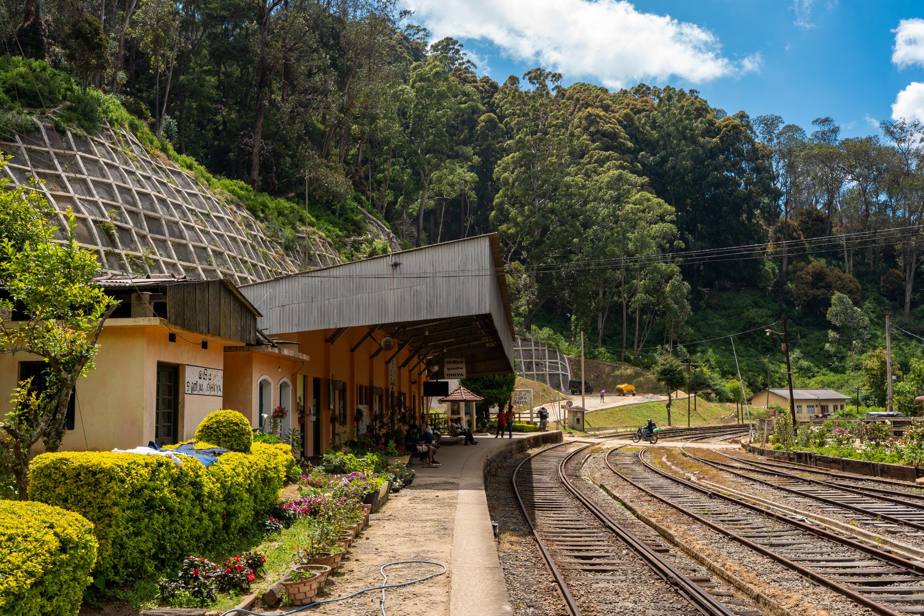 Best Budget Guesthouses in Nuwara Eliya Under $50