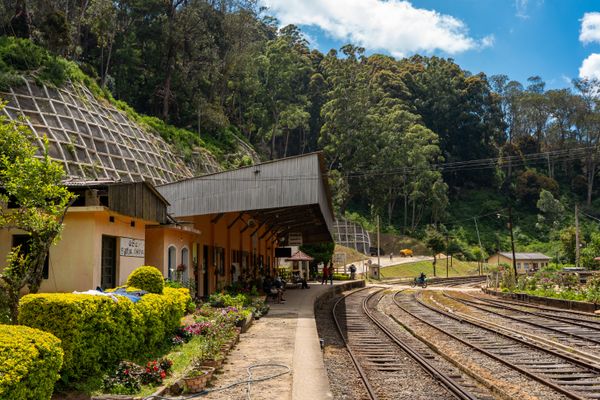 Scenic Sri Lanka With Nuwara Eliya - Stays