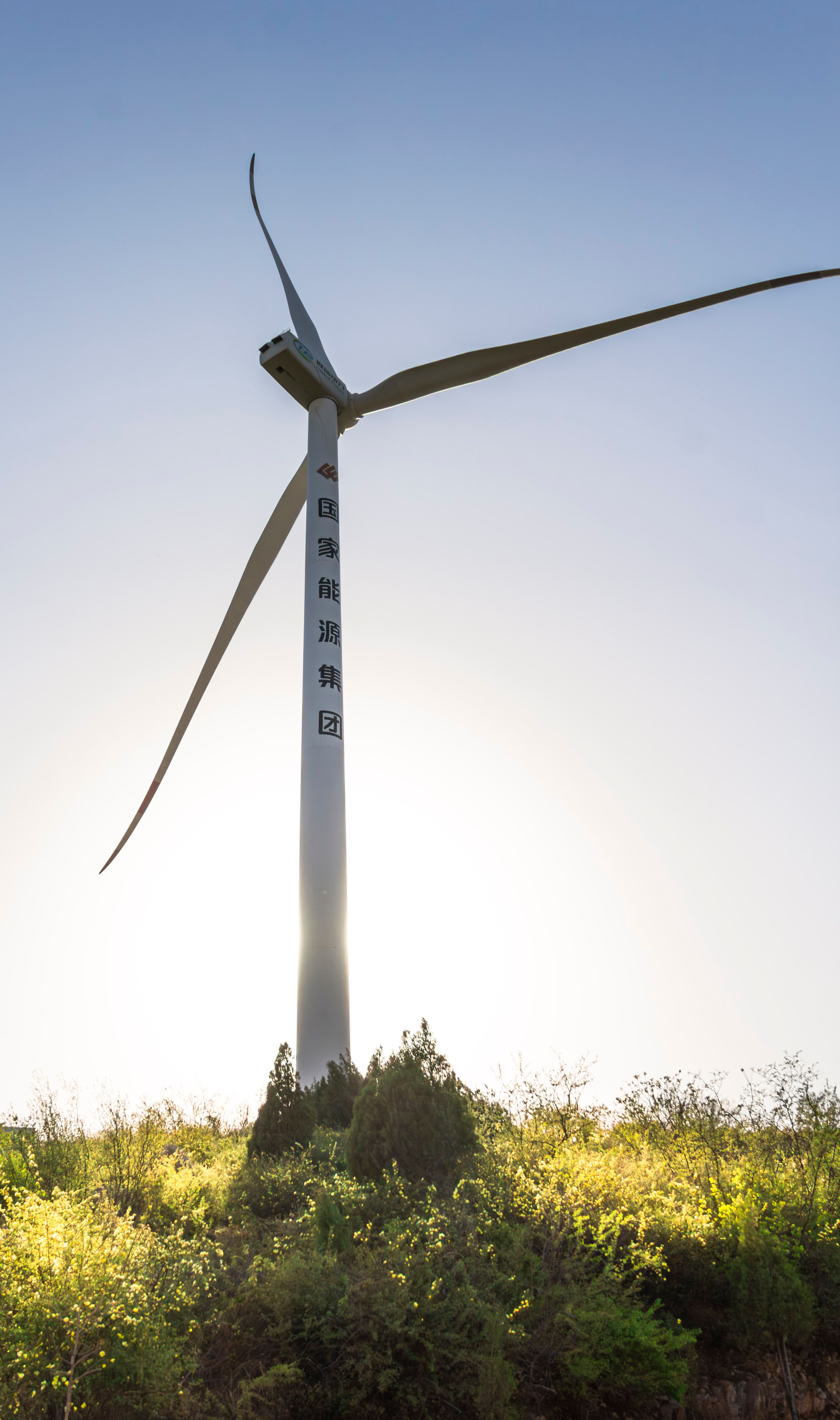 Large wind turbine against a clear sky, harnessing renewable energy at sunset.
