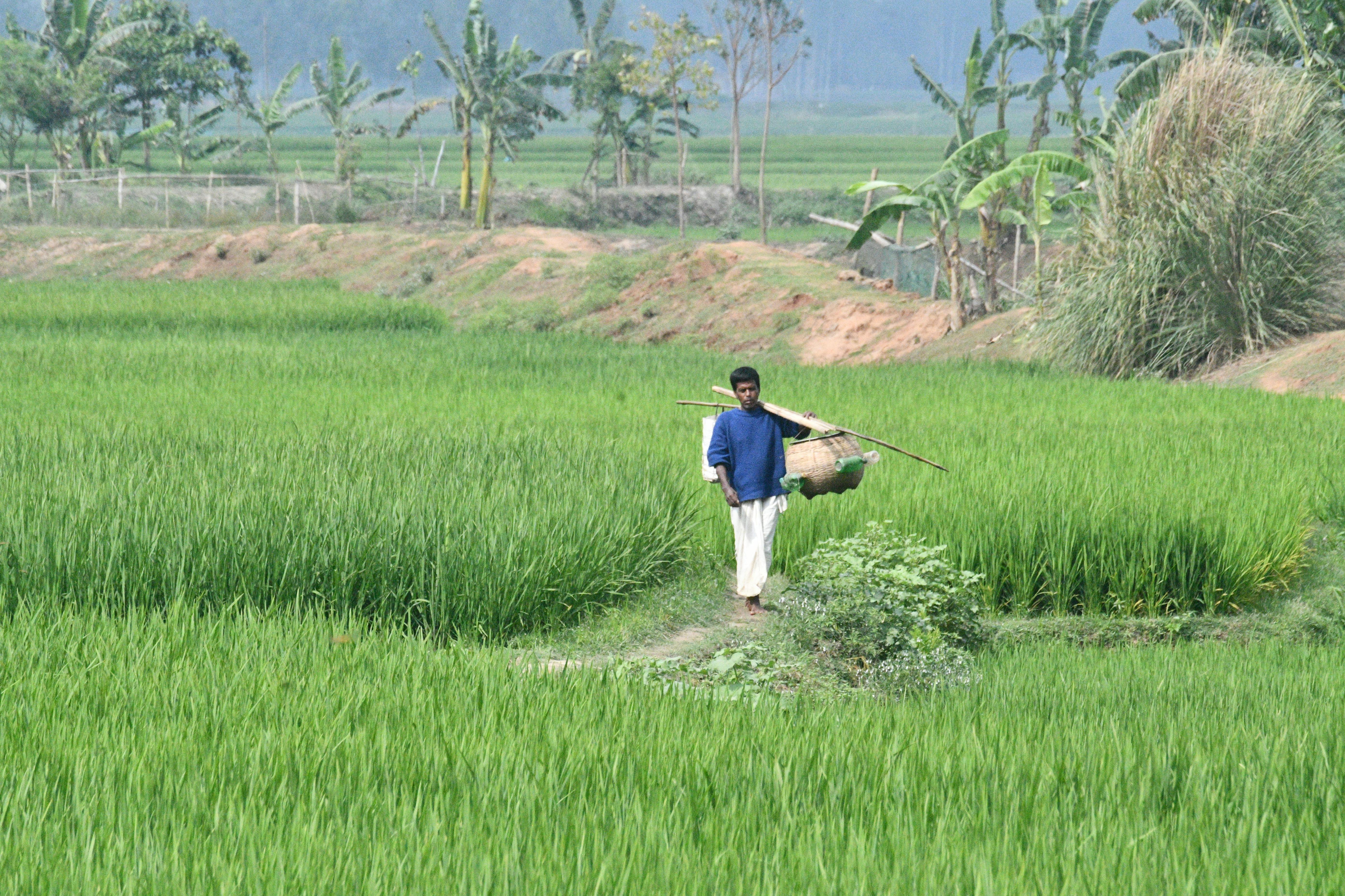 Many farmers utilize life insurance for farm financing — Photo by masudar rahman on Pexels