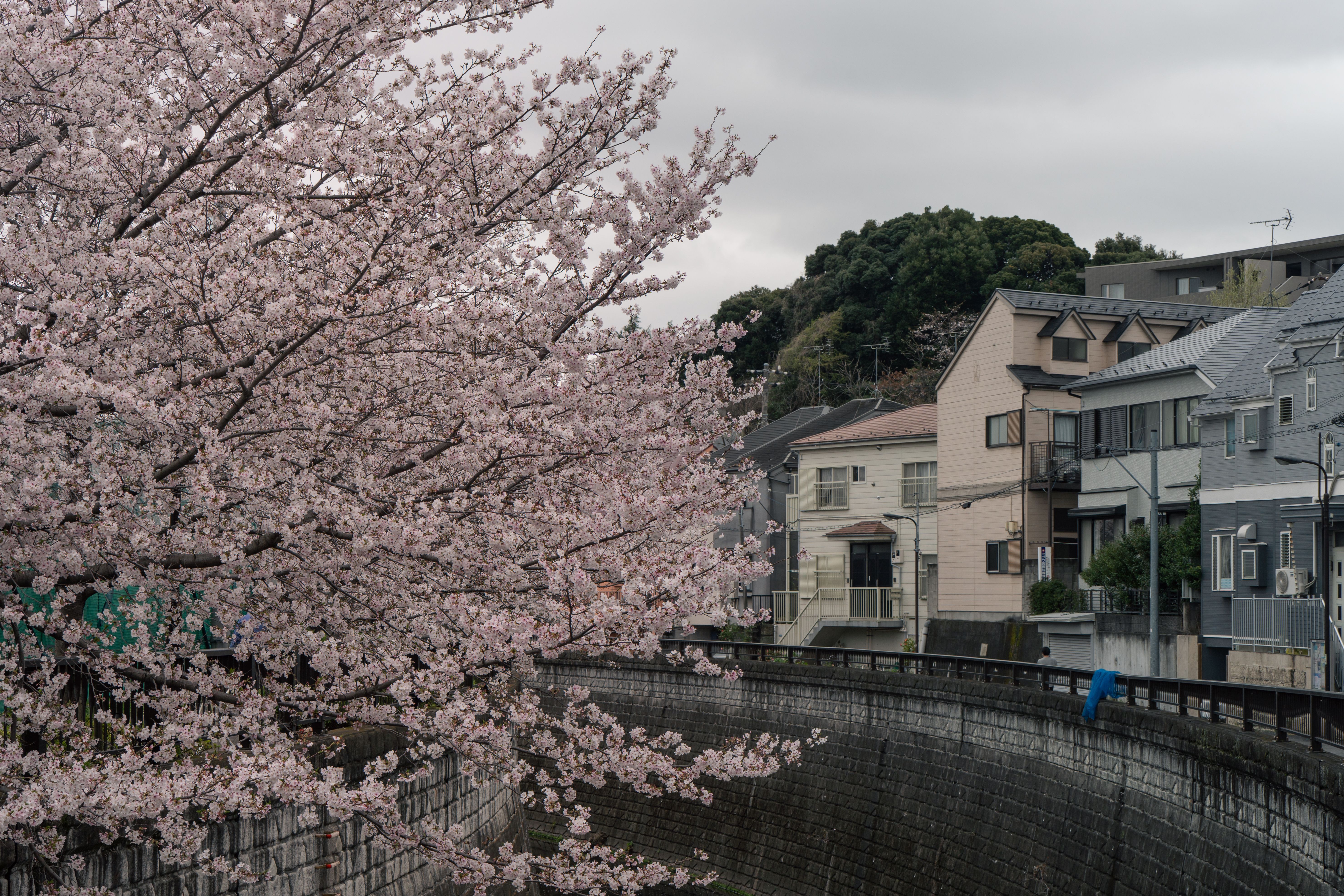 Miyajima Island Guesthouse – Hostel in Hiroshima | Hiroshima