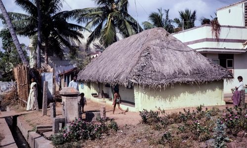 Free A picturesque village scene with a thatched house and palm trees in India. Stock Photo