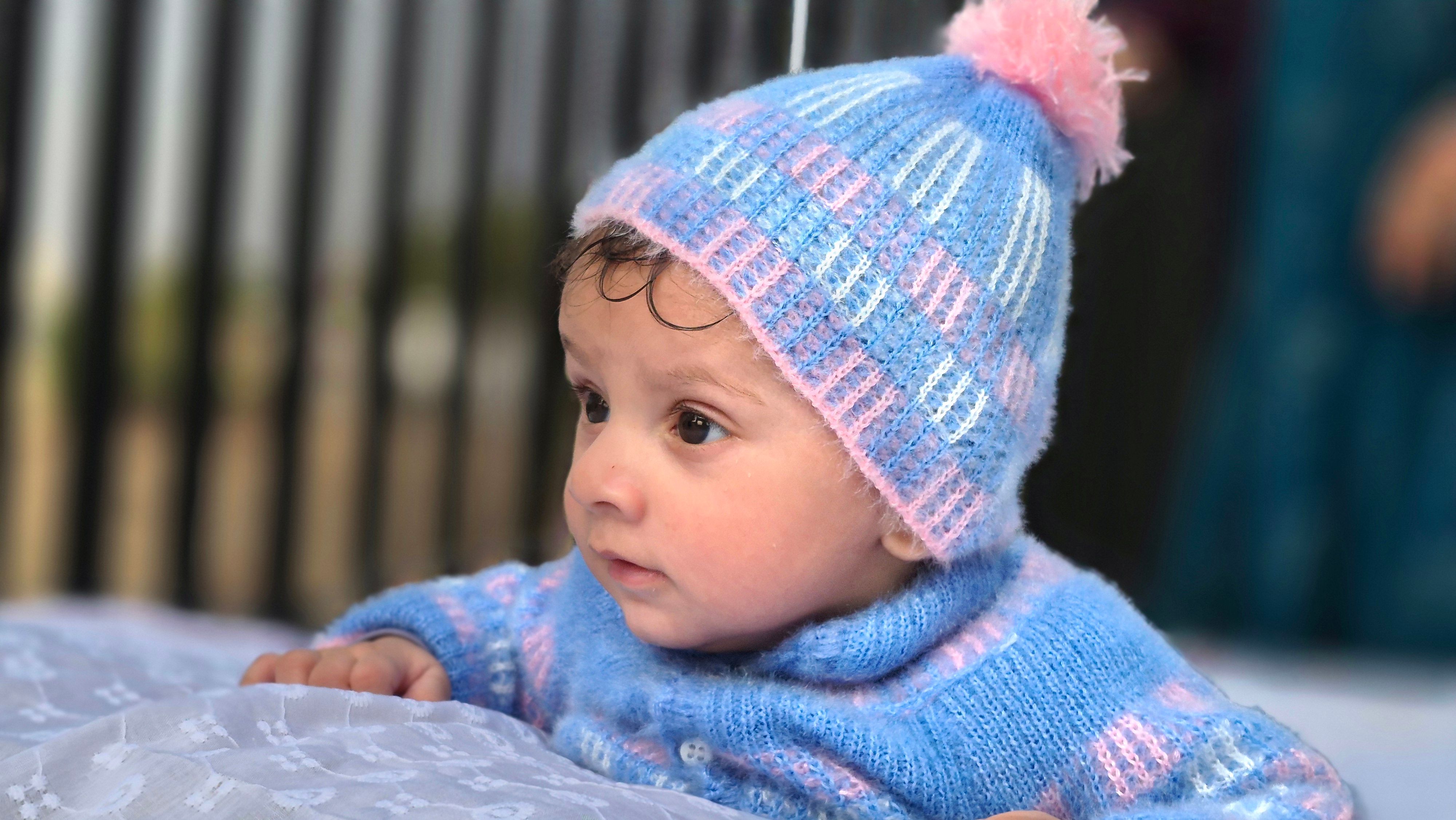 Comparison of Baby Food Warmers (2026): Fast, Safe, Reliable