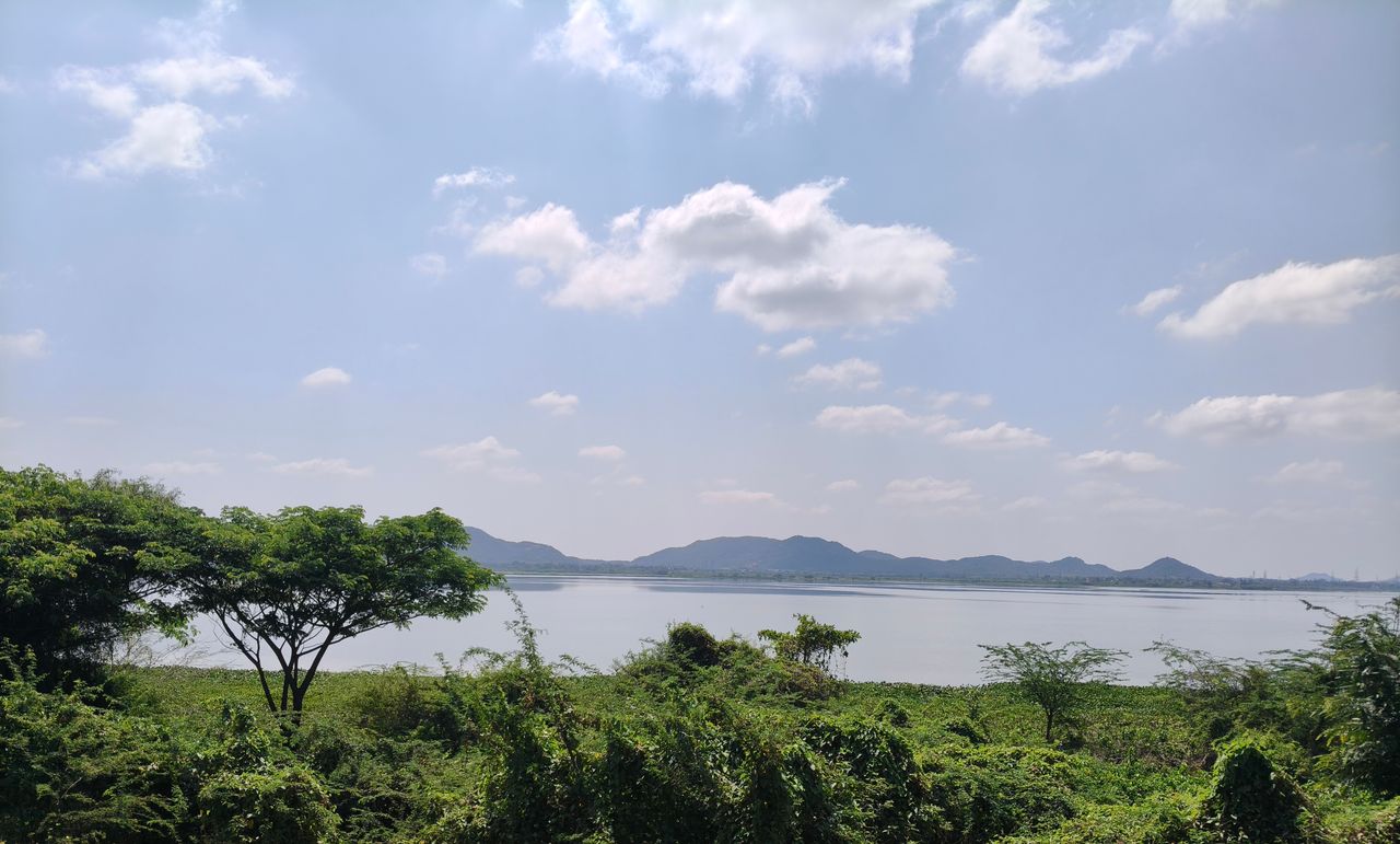 peaceful lake view with lush greenery and mountains under a blue sky