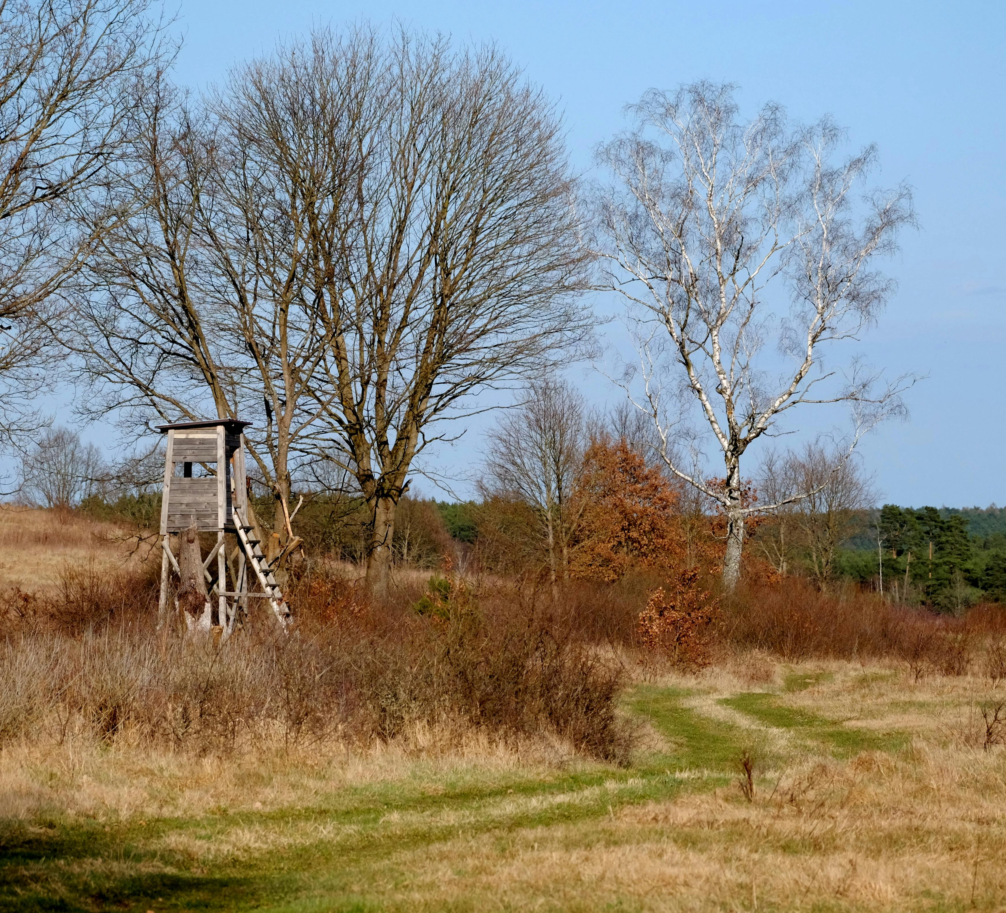 Hunting &amp; Outdoor Adventure Show at QCCA Expo Center, Rock Island, Feb. 12-15 — Photo by Roman Biernacki on Pexels