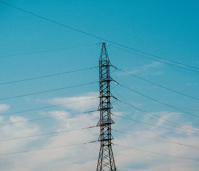EVN posts 21% net profit rise on strong networks segment