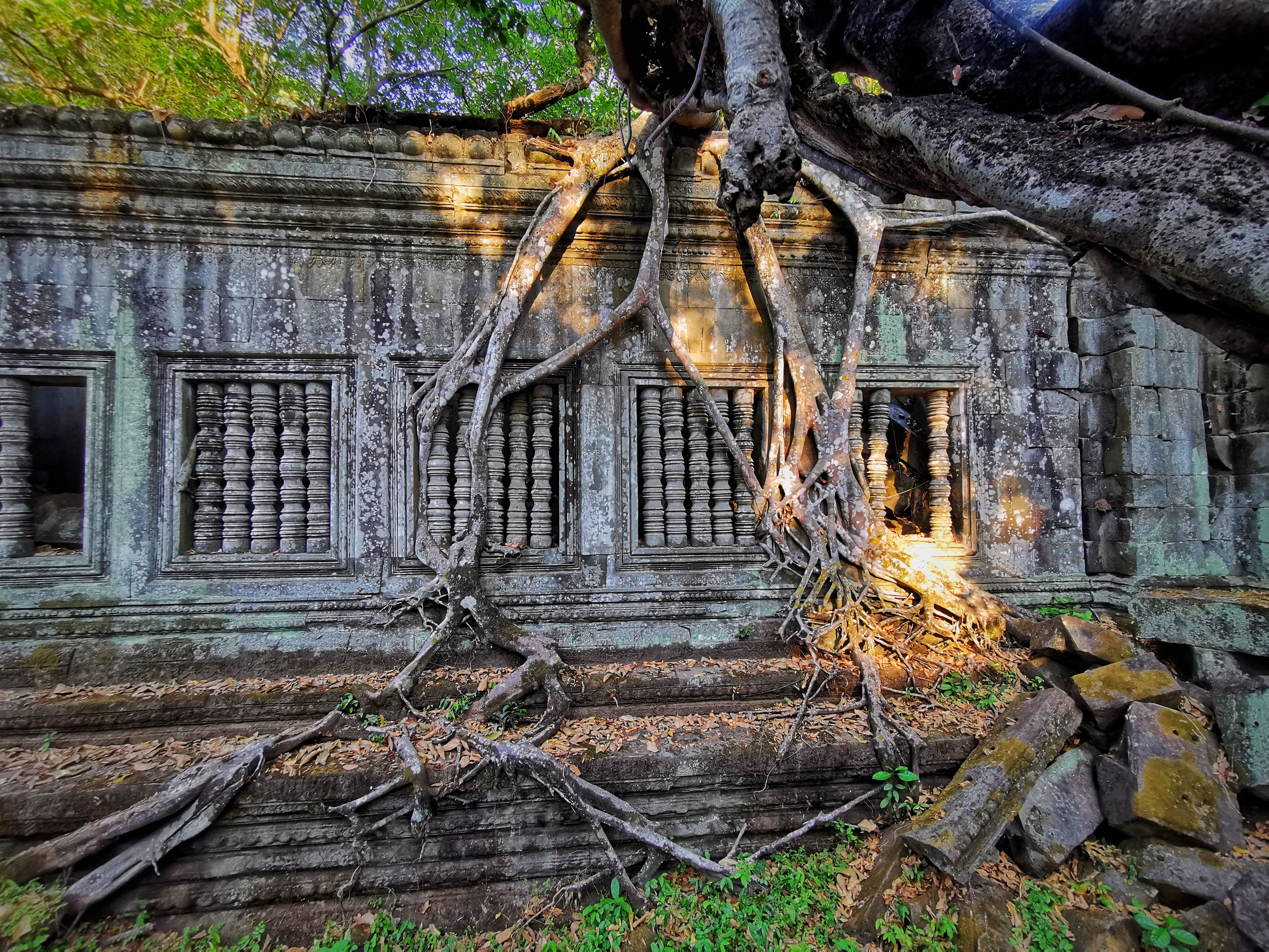 Ancient Temple With Encroaching Tree Roots · Free Stock Photo