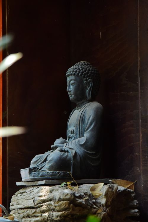 Free Buddha statue in meditation pose, surrounded by natural light and shadows. Stock Photo