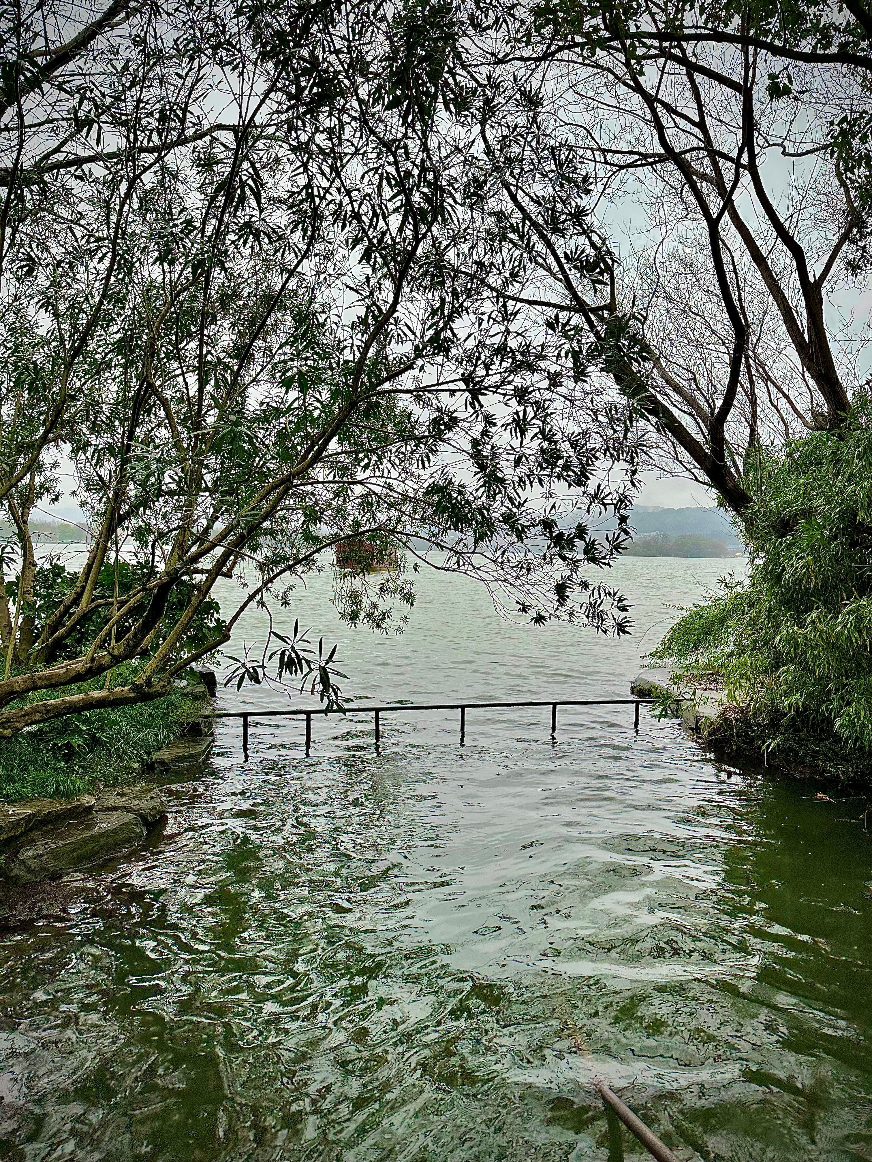 Serene Lakeside View with Trees and Water · Free Stock Photo