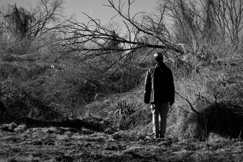 Free A lone person stands facing fallen trees in a leafless, wintry woodland. Stock Photo