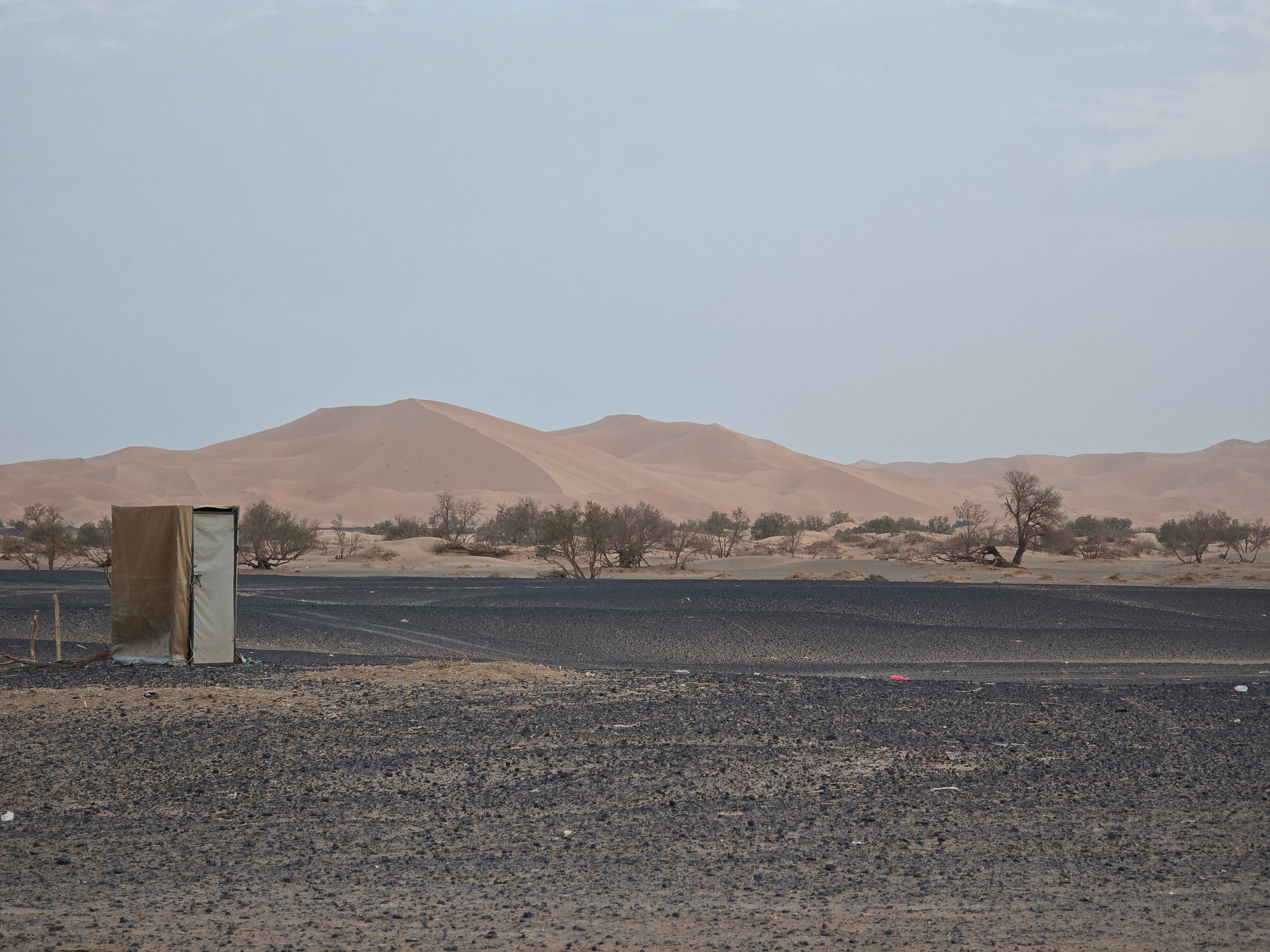 Vast desert landscape featuring sand dunes and sparse vegetation under an overcast sky.