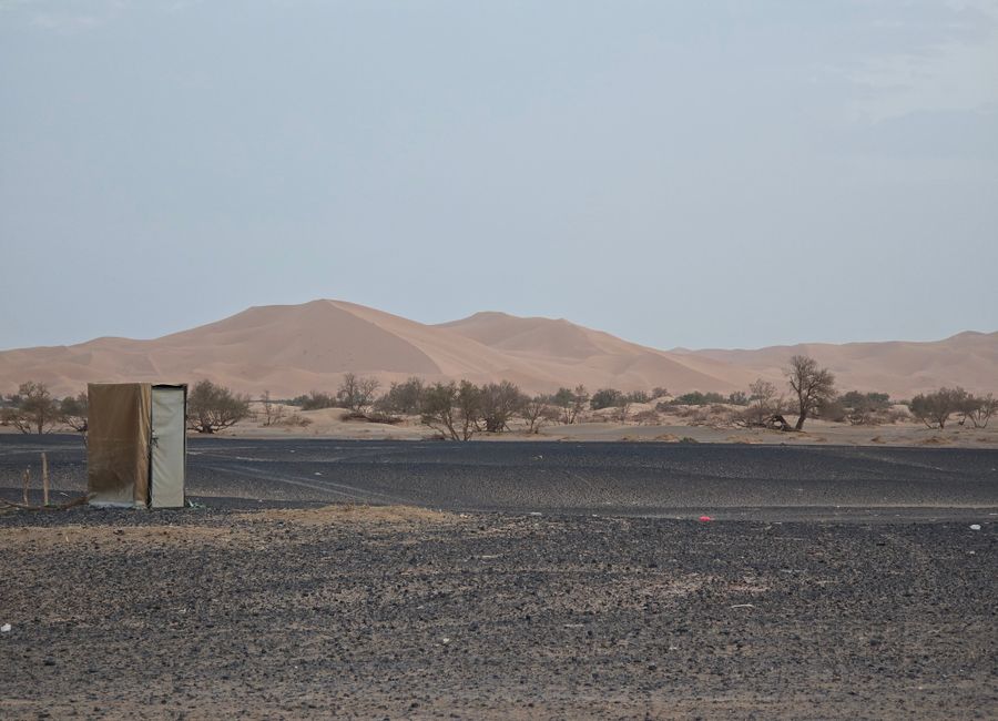 Vast desert landscape featuring sand dunes and sparse vegetation under an overcast sky.