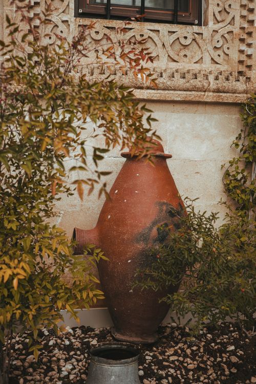 Free A rustic terracotta pot surrounded by lush green leaves, capturing the essence of Midyat's outdoor charm. Stock Photo