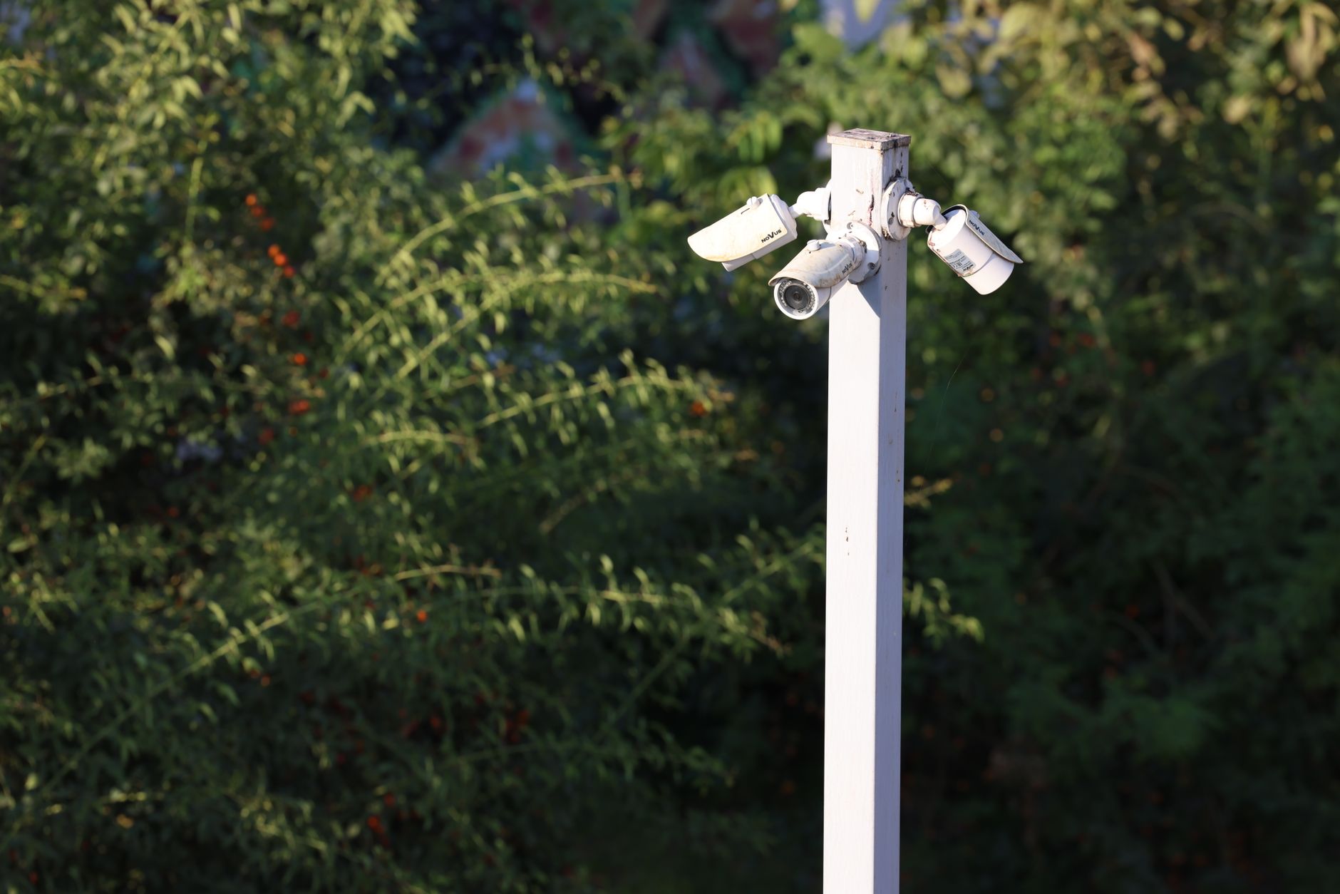 Advanced facial recognition technology and extensive camera networks are integral to China's broader surveillance infrastructure, supporting various enforcement mechanisms.