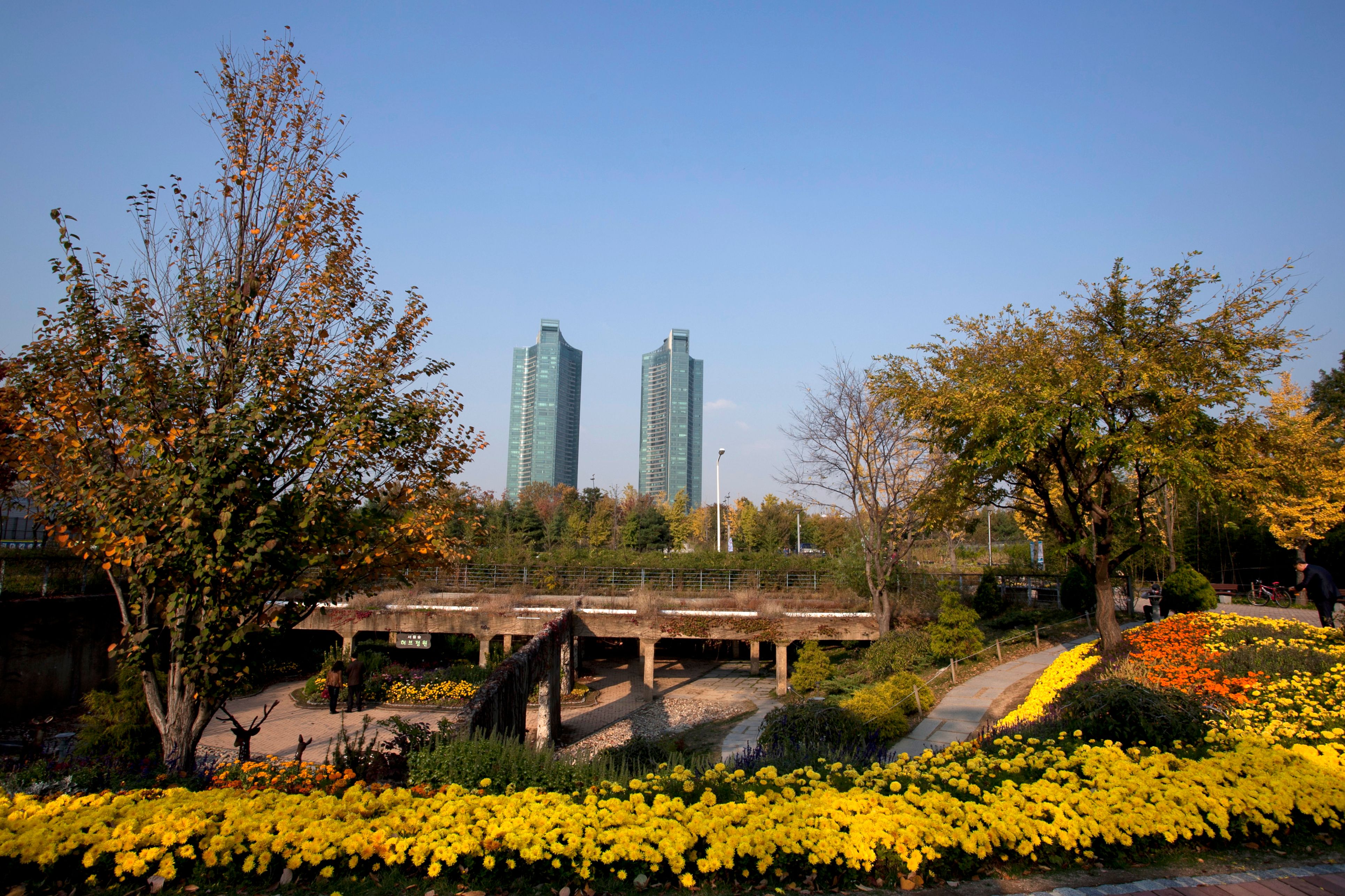 Tall skyscrapers rise above a colorful autumn park with vibrant flowers and trees.
