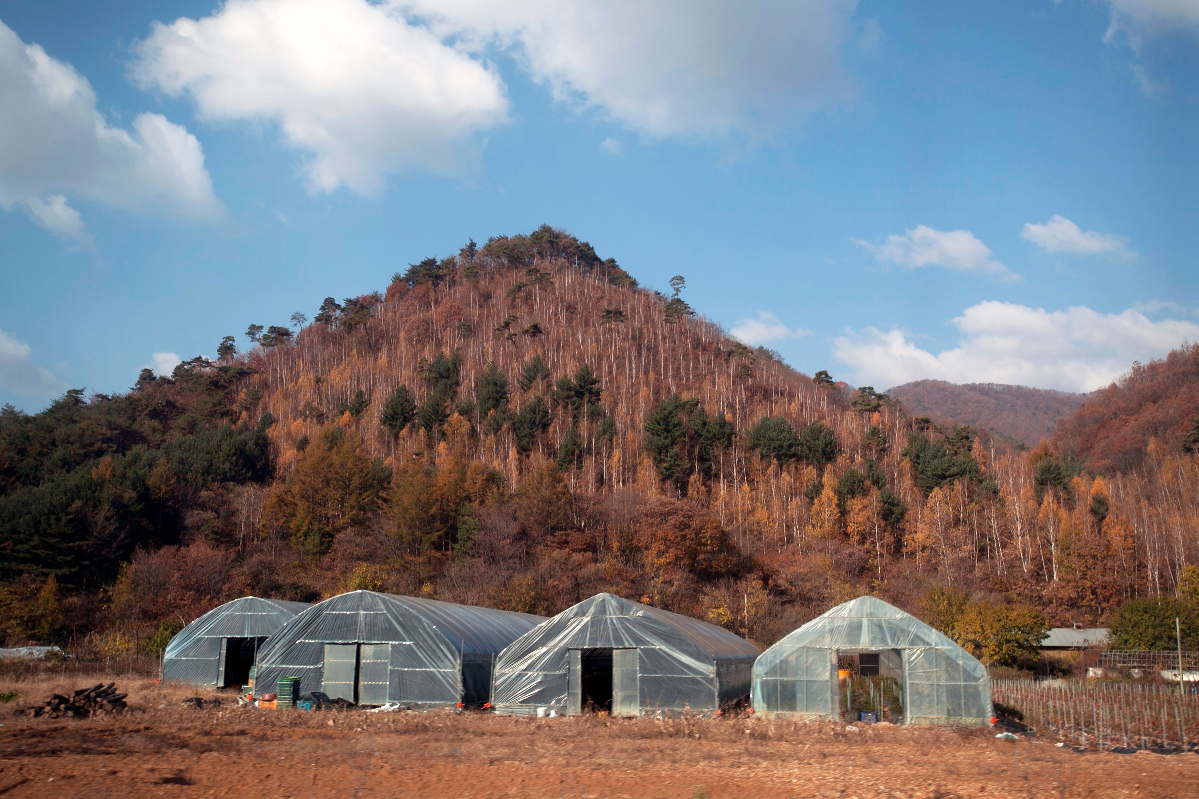 Three greenhouses nestled at the base of a scenic mountain in autumn.
