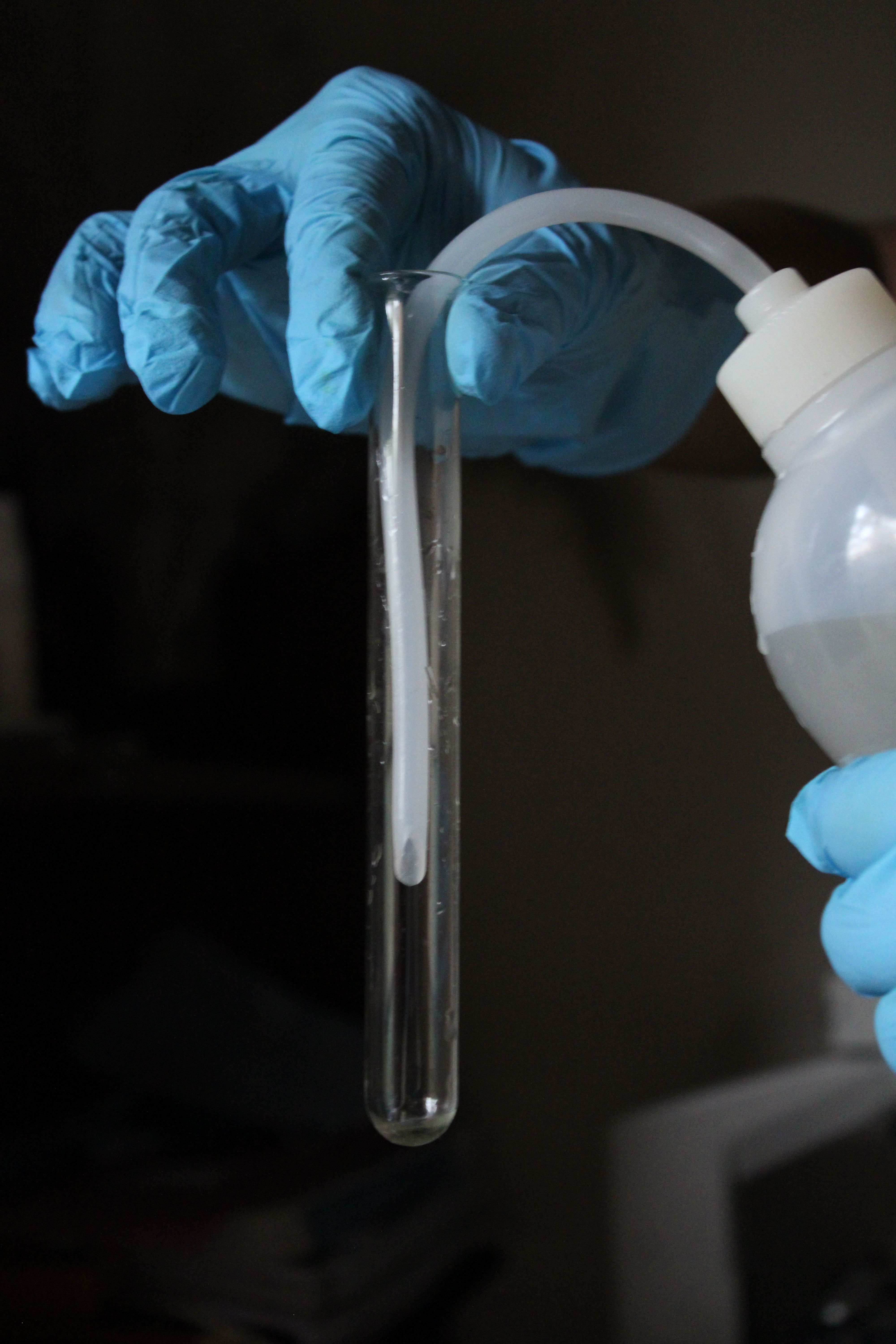 Fotomural Primer plano de un tubo de ensayo siendo manipulado por una mano enguantada en un laboratorio.