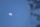 blue moon