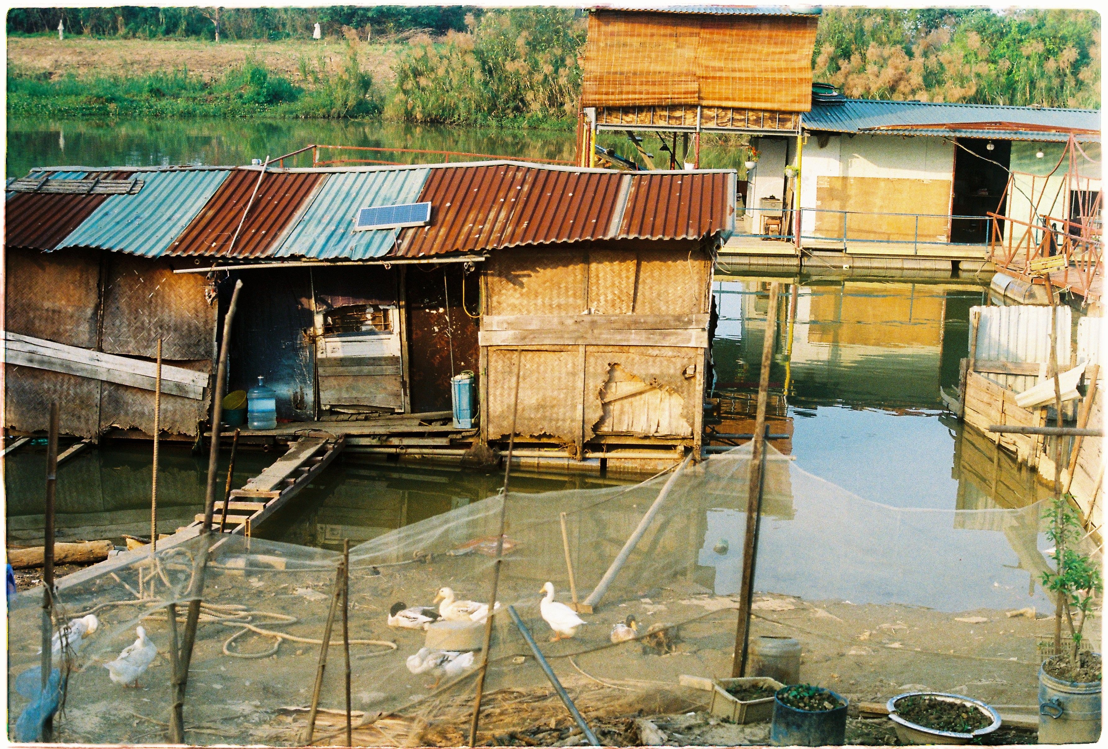 Traditional Riverside Houses with Ducks · Free Stock Photo