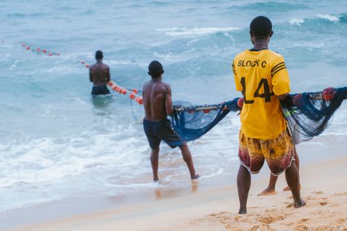 Free Three fishermen work together on a sandy beach in Grand Cape Mount, Liberia, pulling in a fishing net. Stock Photo