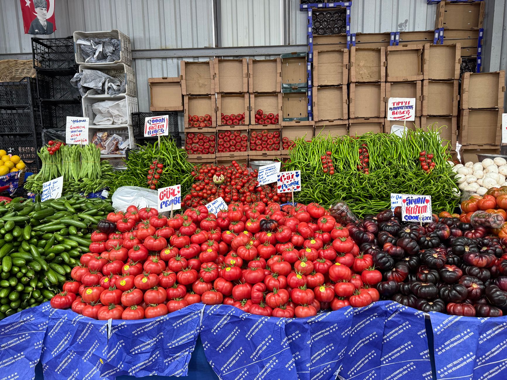 tomato photograph for this story