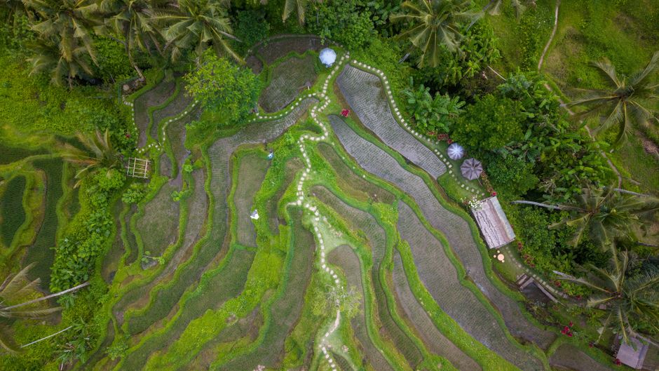 is ubud a walkable city?