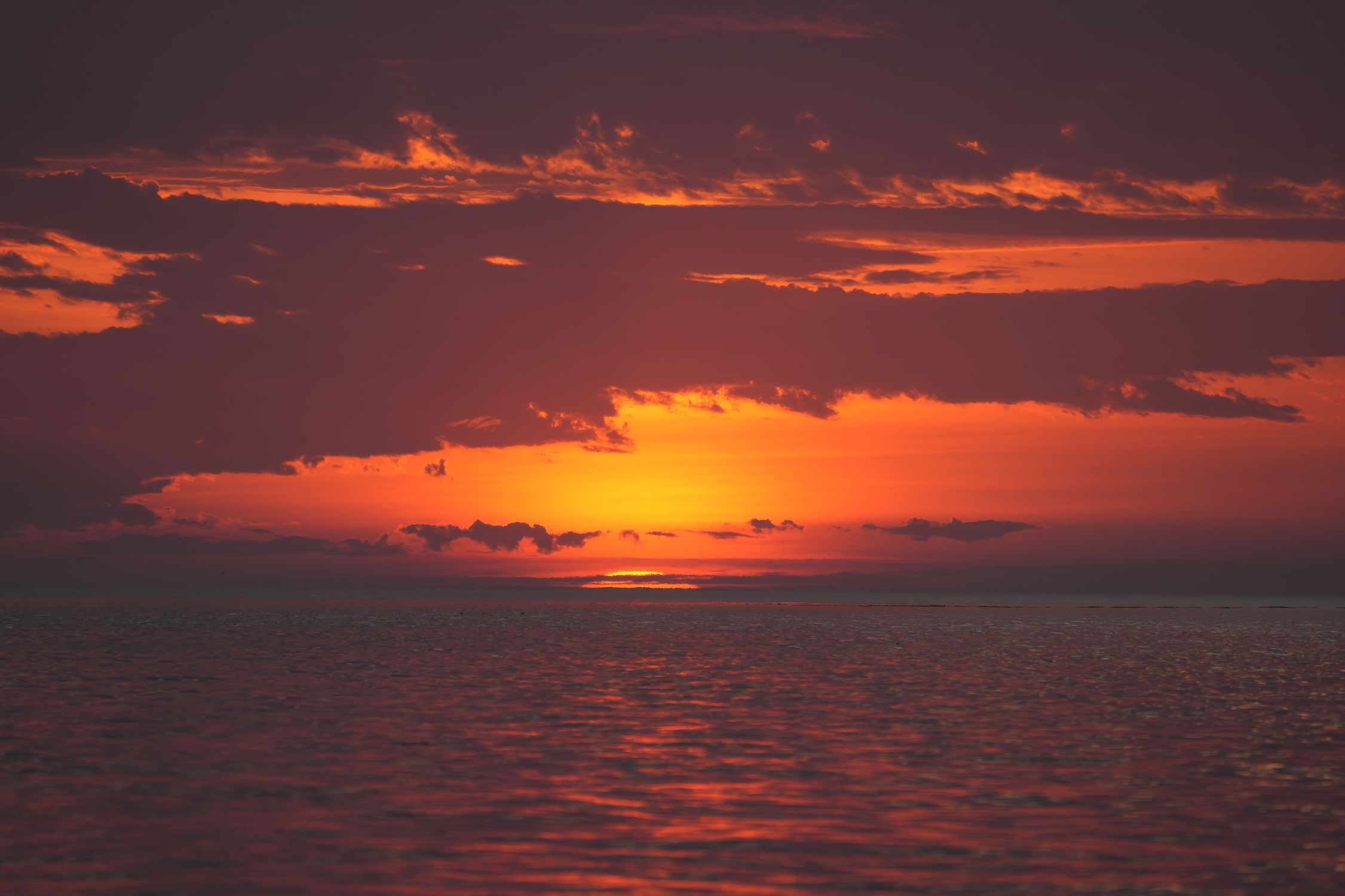 Stunning Ocean Sunset with Dramatic Clouds · Free Stock Photo