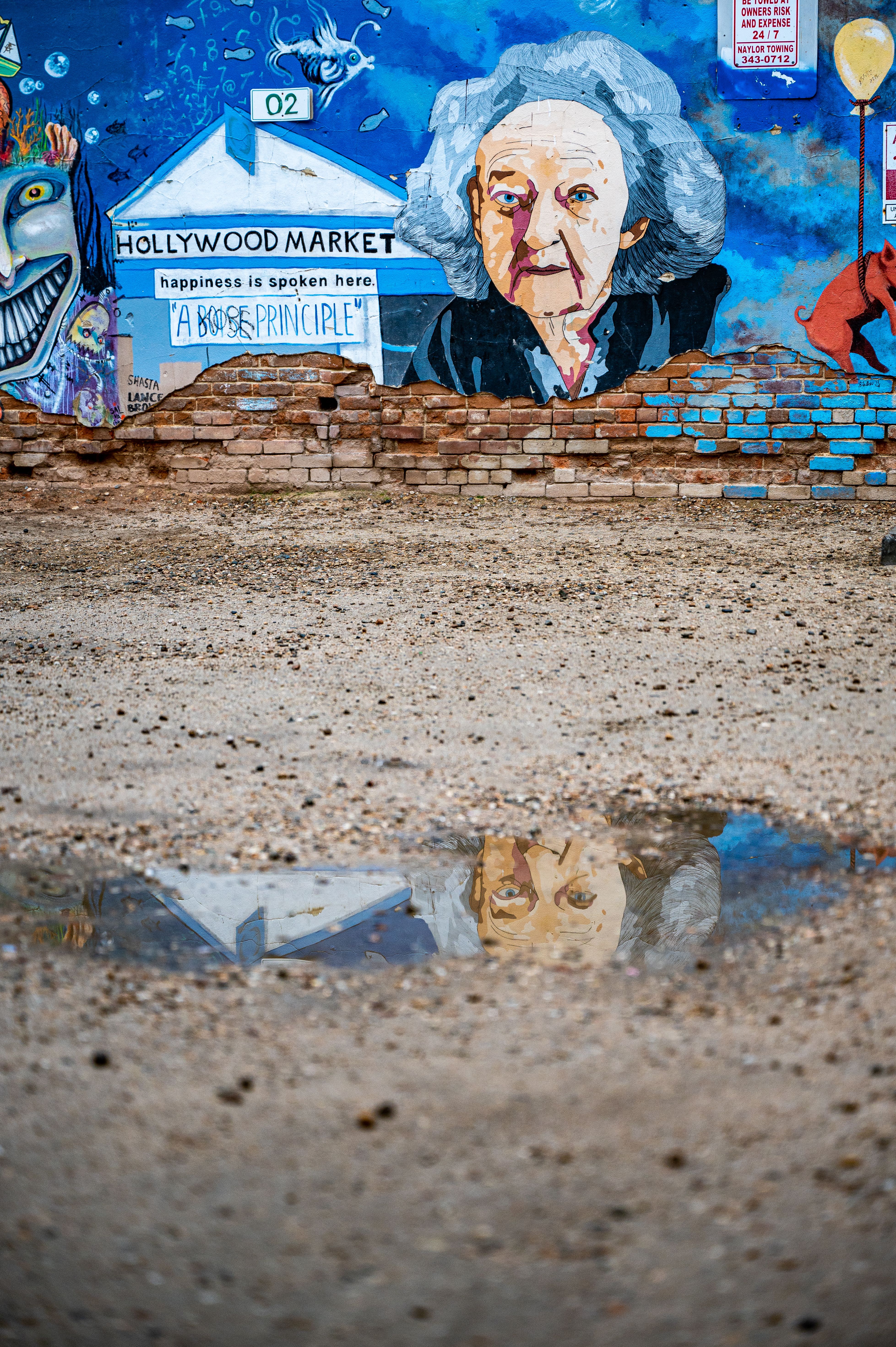 Vibrant street art mural reflected in a puddle on a paved ground.