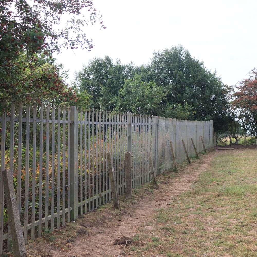 Fence and Decking Painting in Bexleyheath — clean edges cut in around trim and sockets