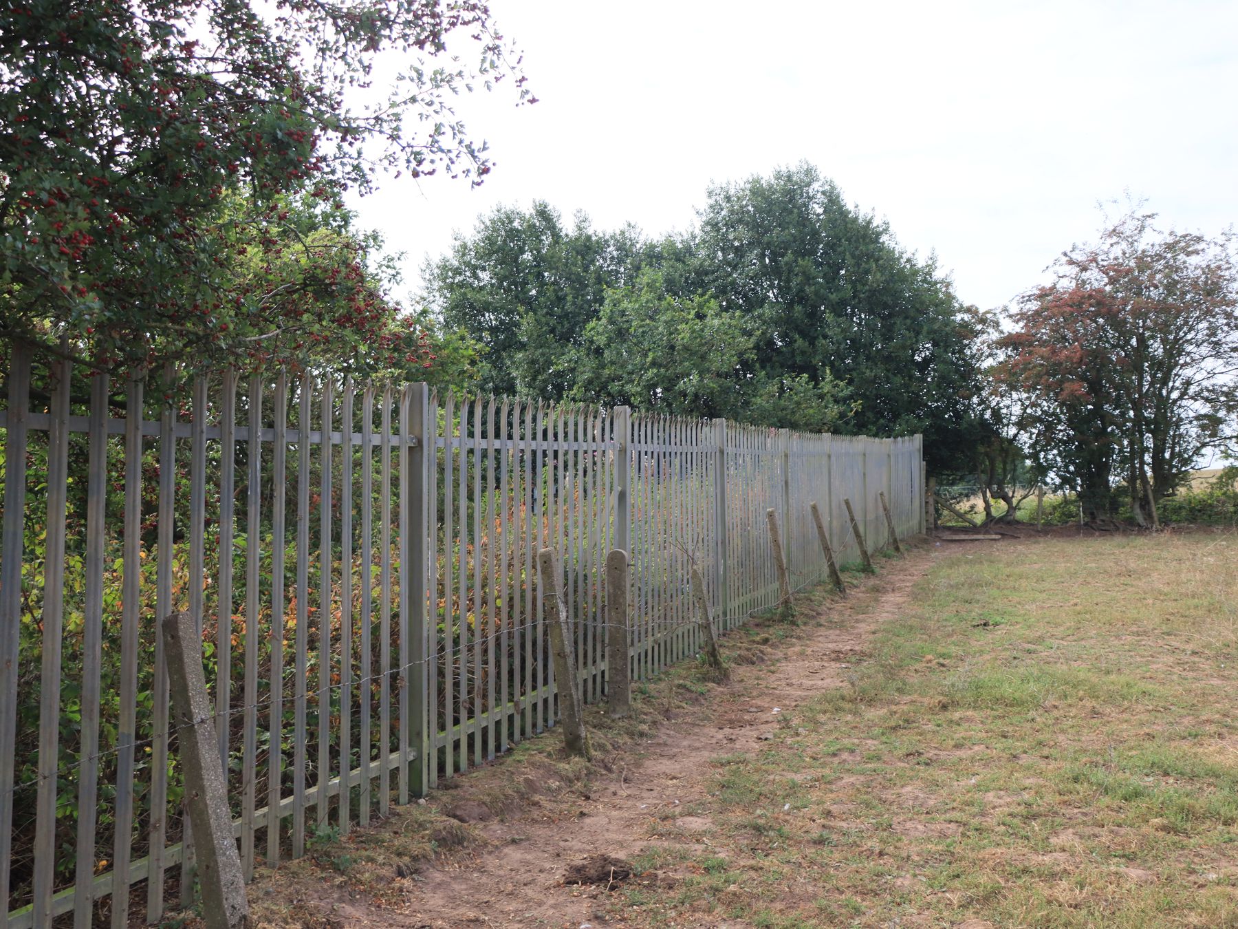 Fence and Decking Painting in Hammersmith — careful masking before painting begins