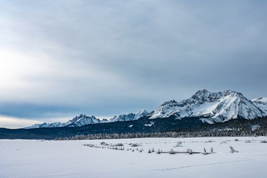 Stunning panoramic view of snow-capped mountains under a cloudy winter sky, perfect for nature themes.