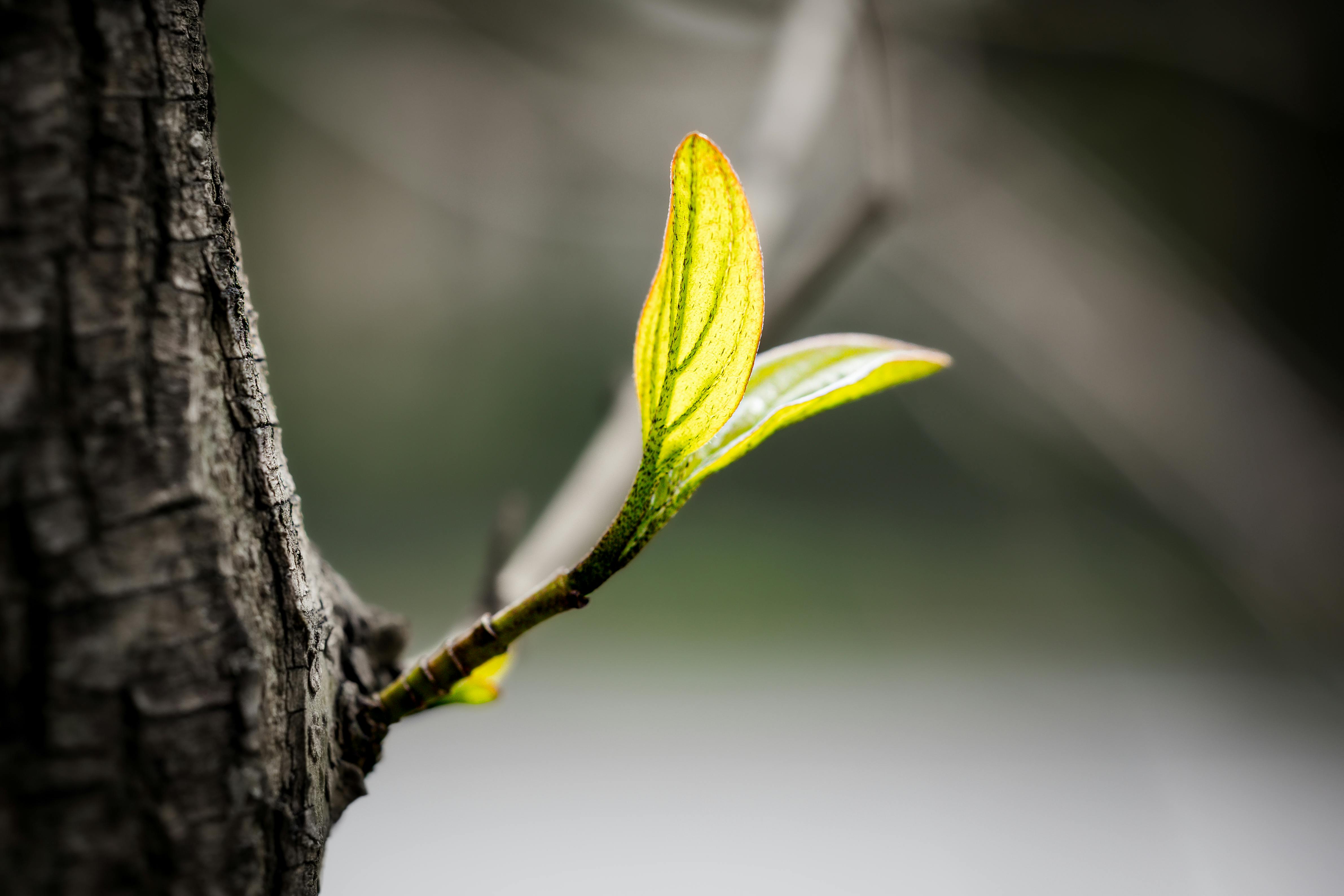 Growth hacking is really just growth testing — Photo by Brendan Rühli on Pexels
