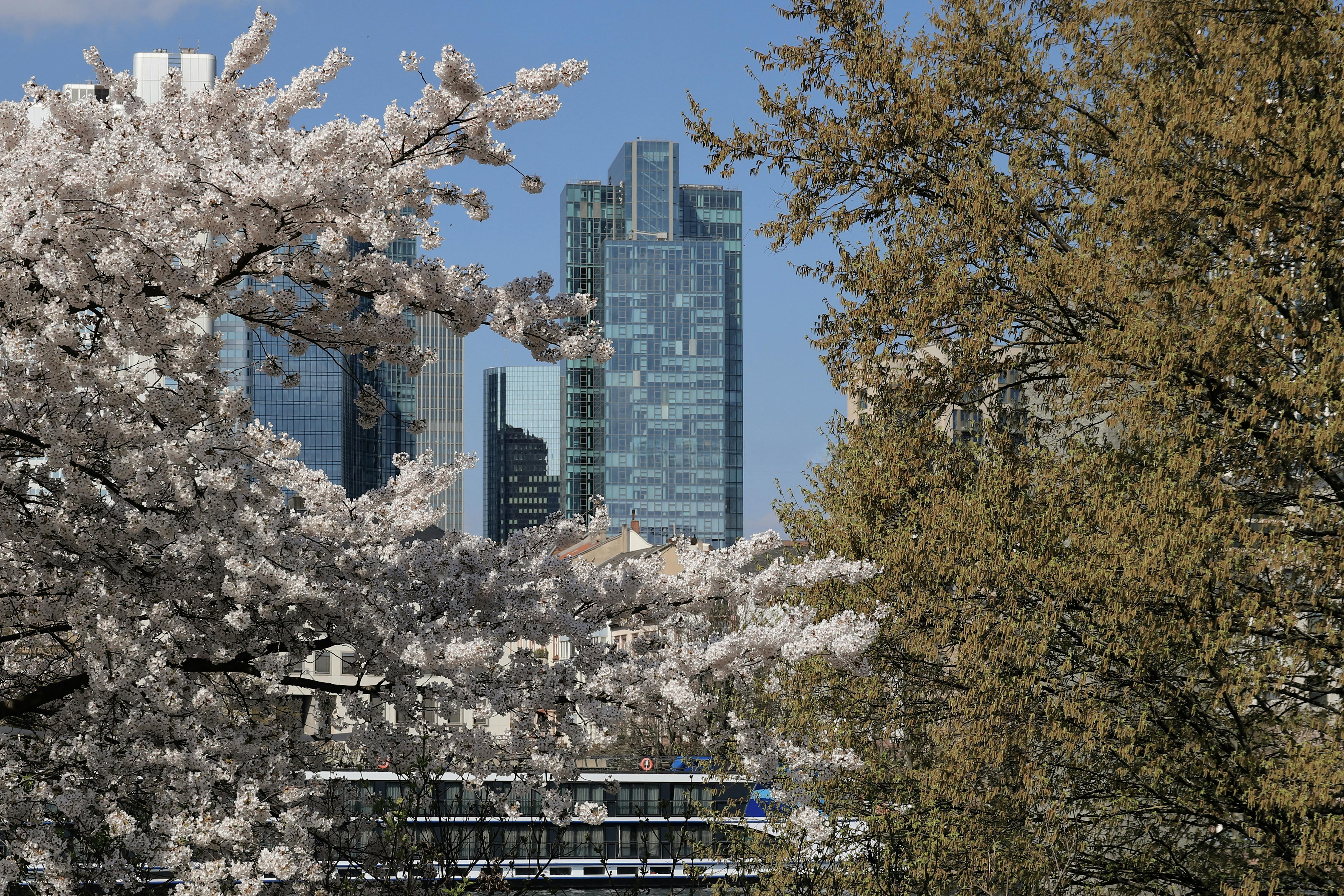 Cleveland Clinic main campus adds Saturday elective surgery hours — Photo by Christina & Peter on Pexels